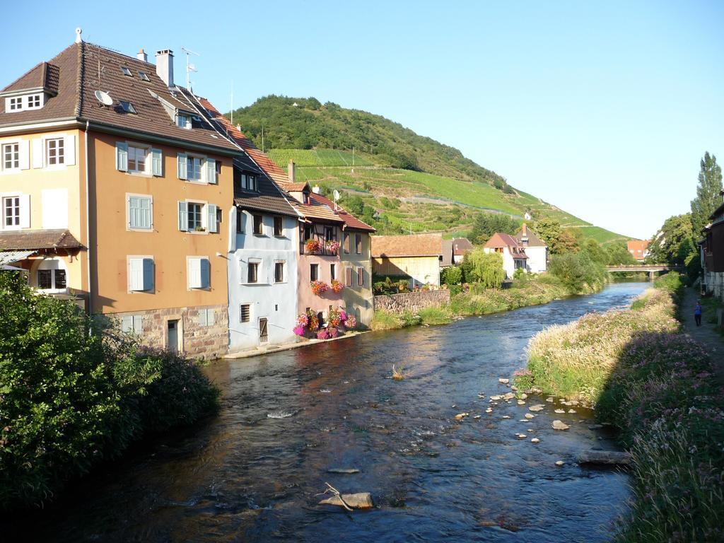 Huttopia De Wattwiller Kültér fotó